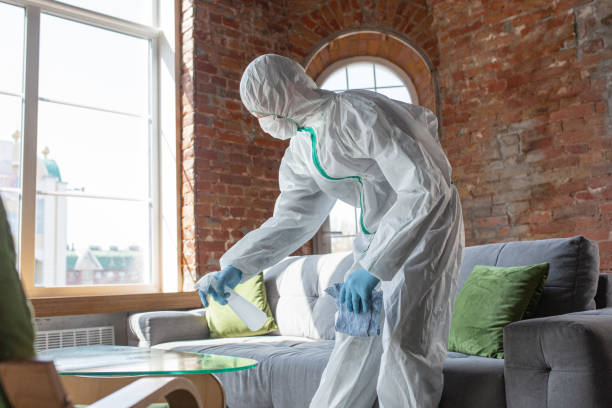 Best Industrial Mold Remediation in USA